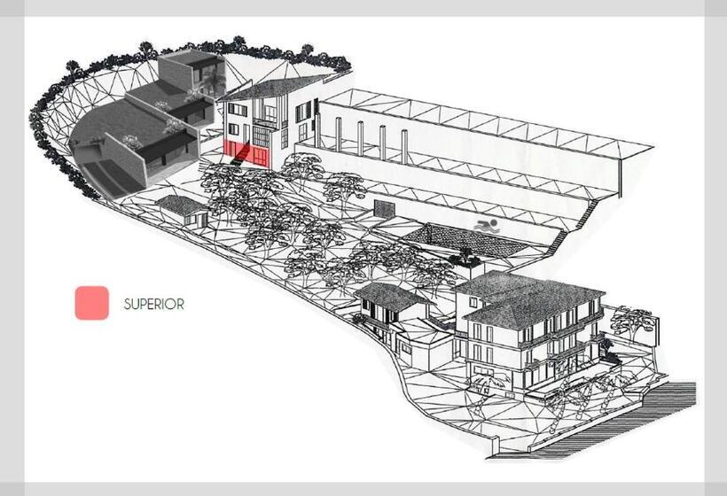 חדר סופריור, Livia