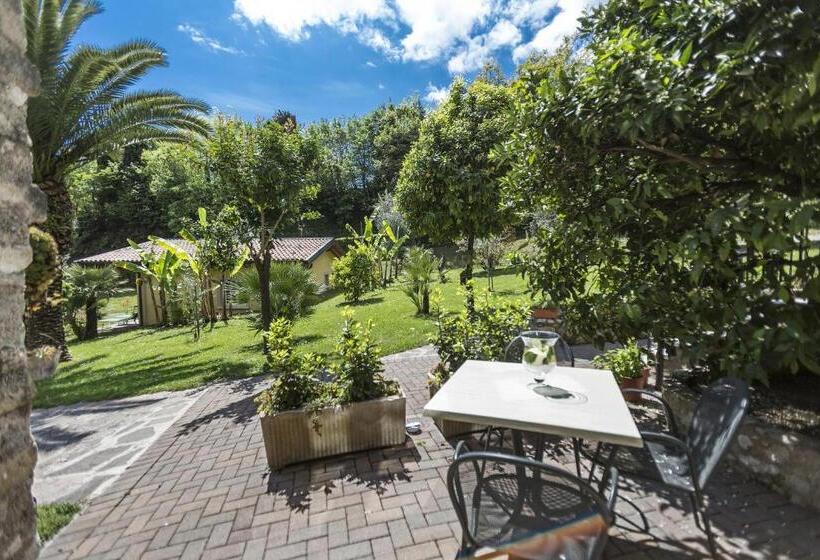 חדר סופריור, Livia