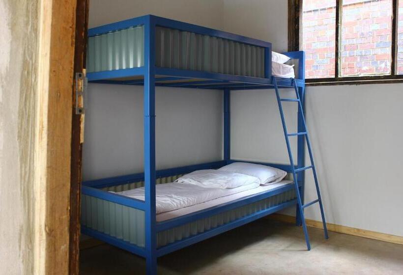 스탠다드 룸, Curiocity Backpackers Johannesburg