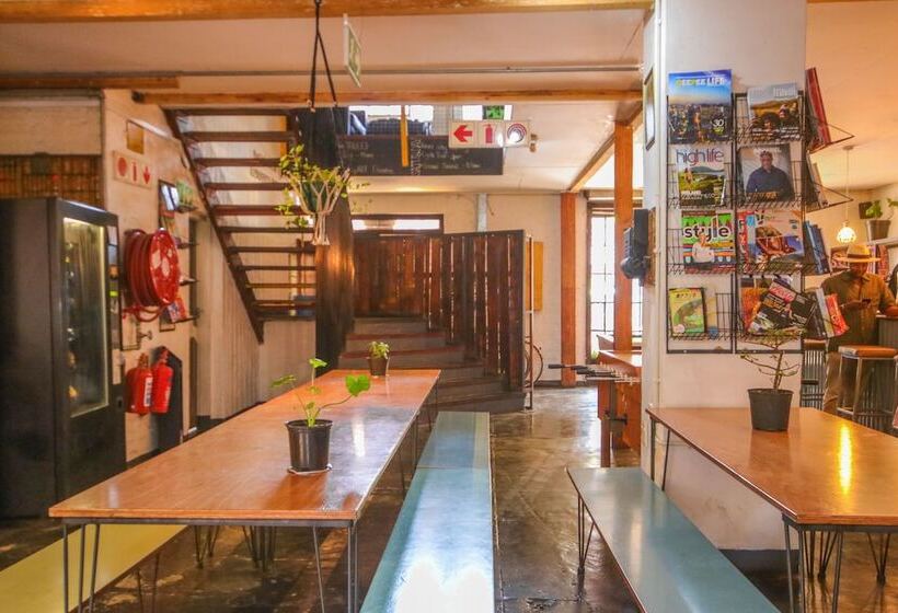 공동 객실, Curiocity Backpackers Johannesburg