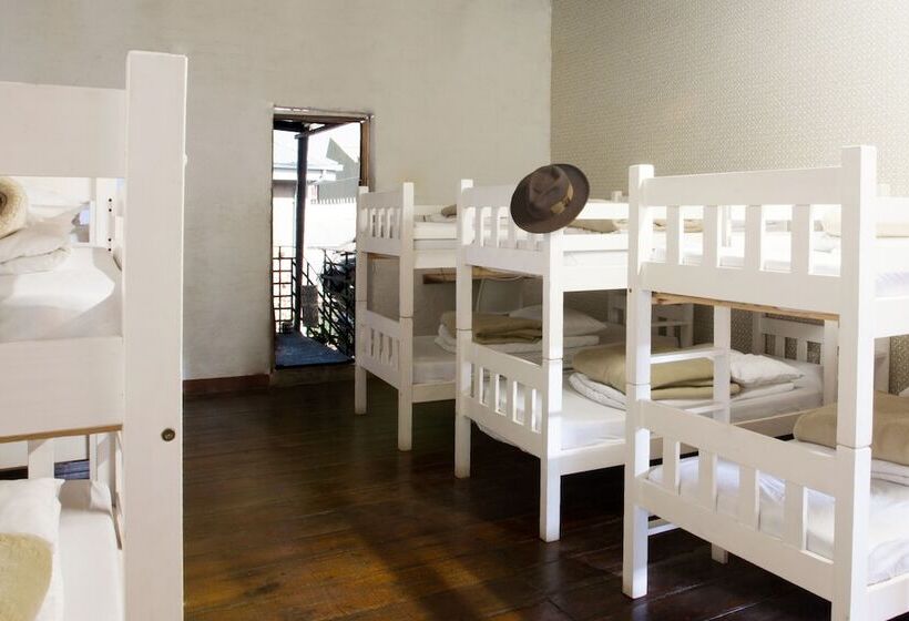 공동 객실, Curiocity Backpackers Johannesburg