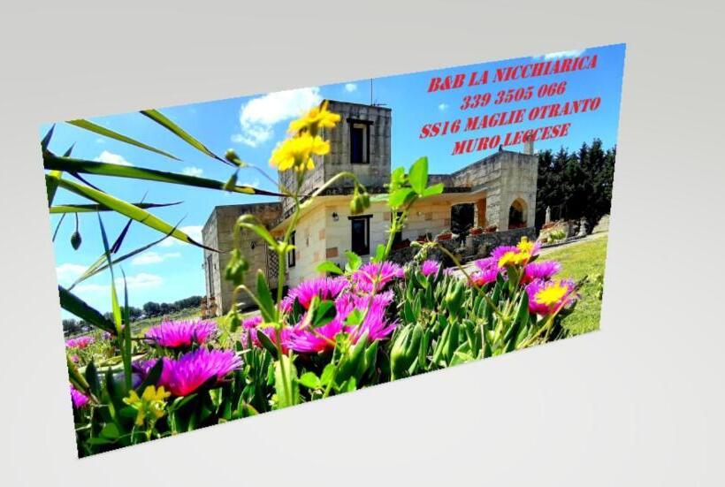 Номер Economy, B&b La Nicchiarica