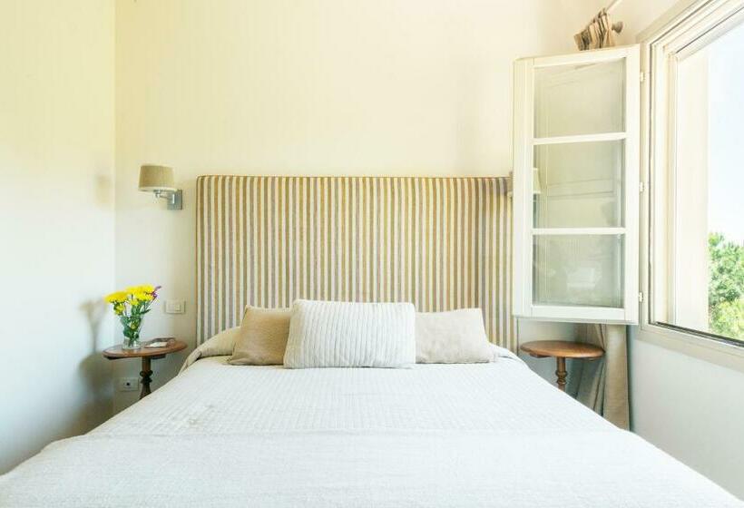 غرفة قياسية, Si Montalcino