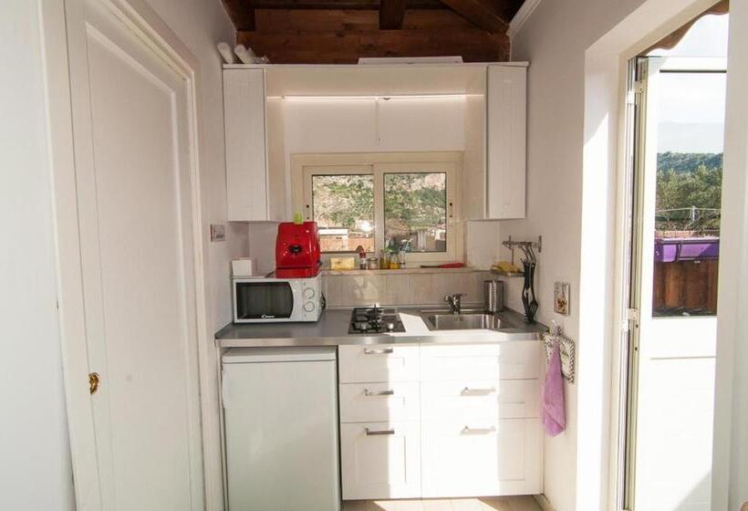 Номер Стандарт, Rifa B&b