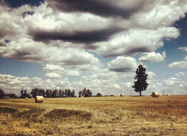 Номер Стандарт, Masseria Perronello Country House