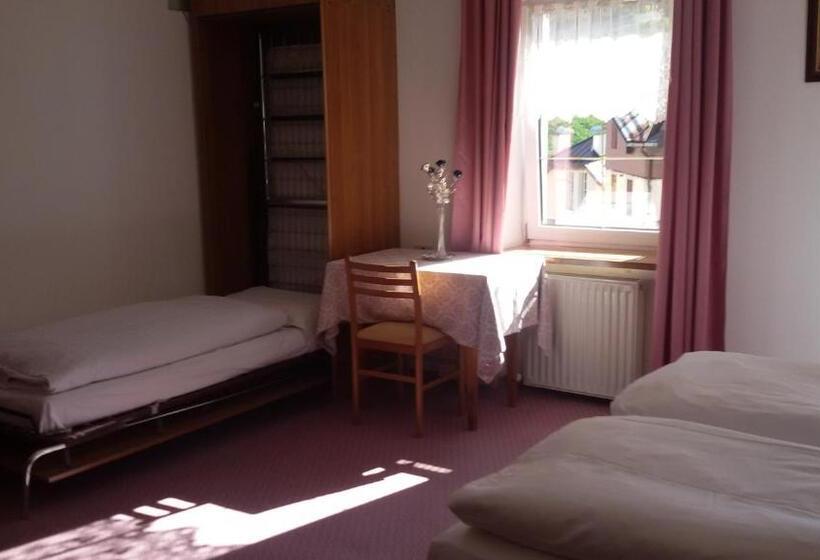 Семейный Номер Совместный Санузел, Albergo Alpino