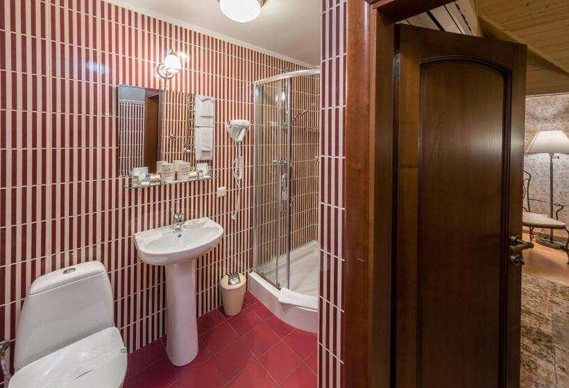 غرفة قياسية, Bystrytsya Lux