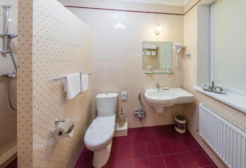 جناح جونيور, Bystrytsya Lux