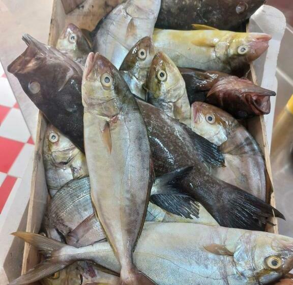 スタンダードルーム, Franco Il Conte