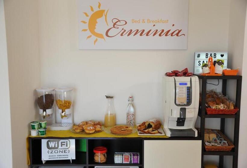 דירת שני חדרים, B&b Erminia