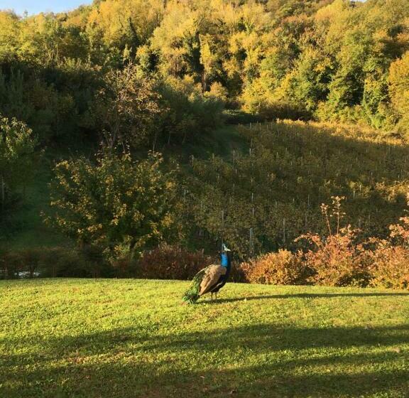 Номер Стандарт, Agriturismo Lemire