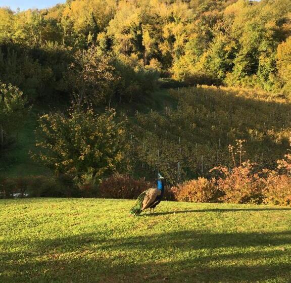 스탠다드 발코니 룸, Agriturismo Lemire