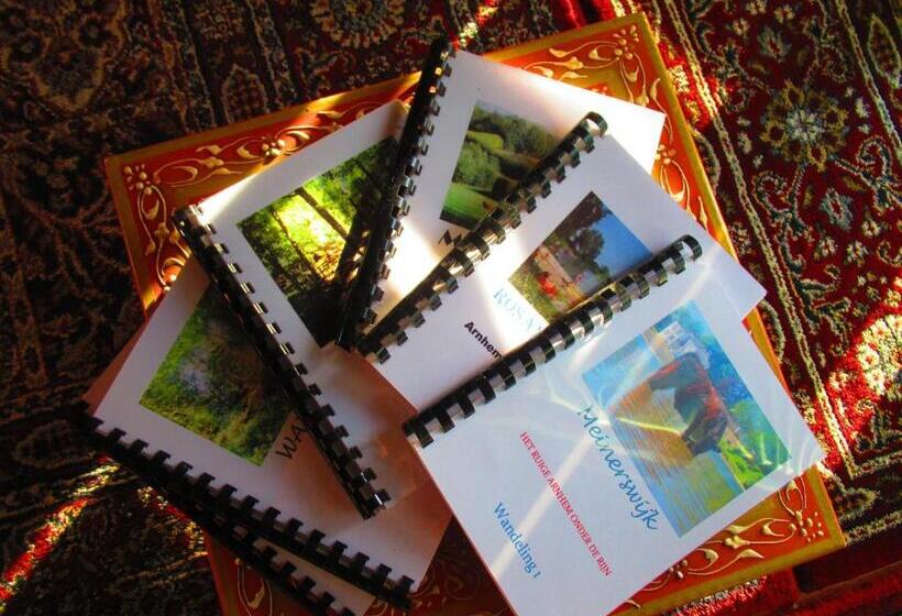 テラス付きスタンダードルーム, Drijfpaleis