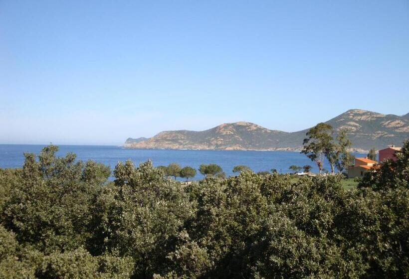 스탠다드 룸 바다 전망, Hôtel Camparellu