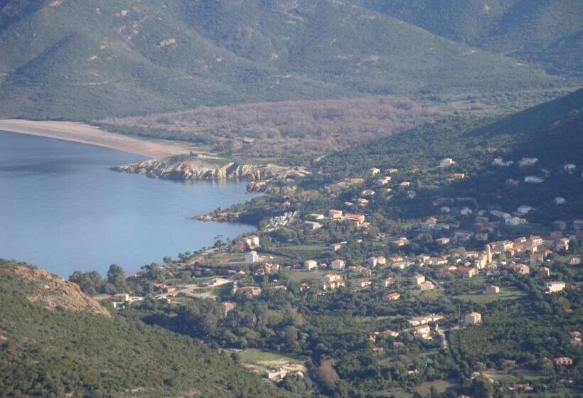 스탠다드 룸 바다 전망, Hôtel Camparellu