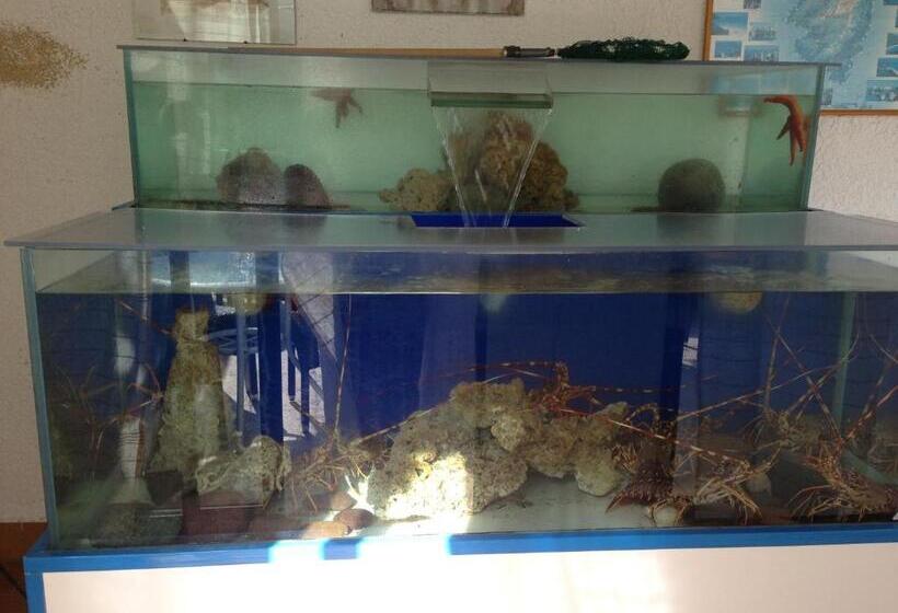 스탠다드 룸 바다 전망, Hôtel Camparellu