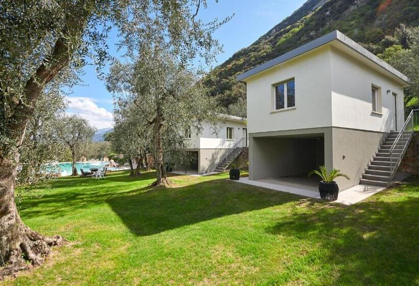 패밀리 스튜디오, San Carlo