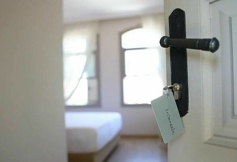 标准间, Triangulo