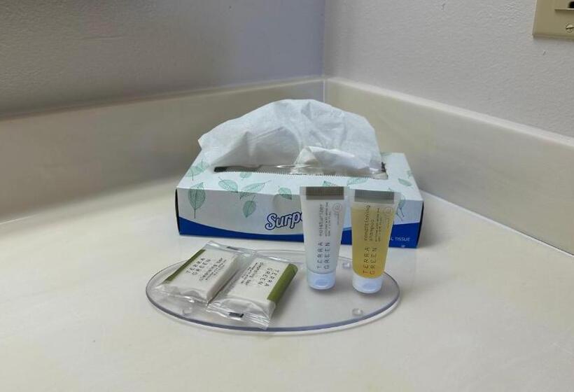 Номер Стандарт Адаптированный для Инвалидов, Carom Inn Denham Springs Baton Rouge