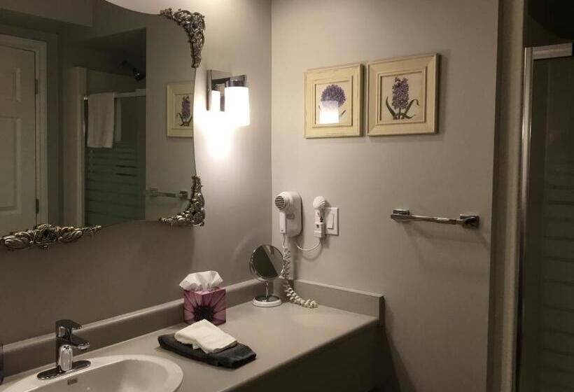 带大床的套房, Nestledown B&b