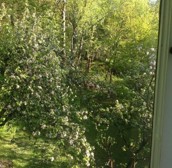 Номер Стандарт, Torpet Mon