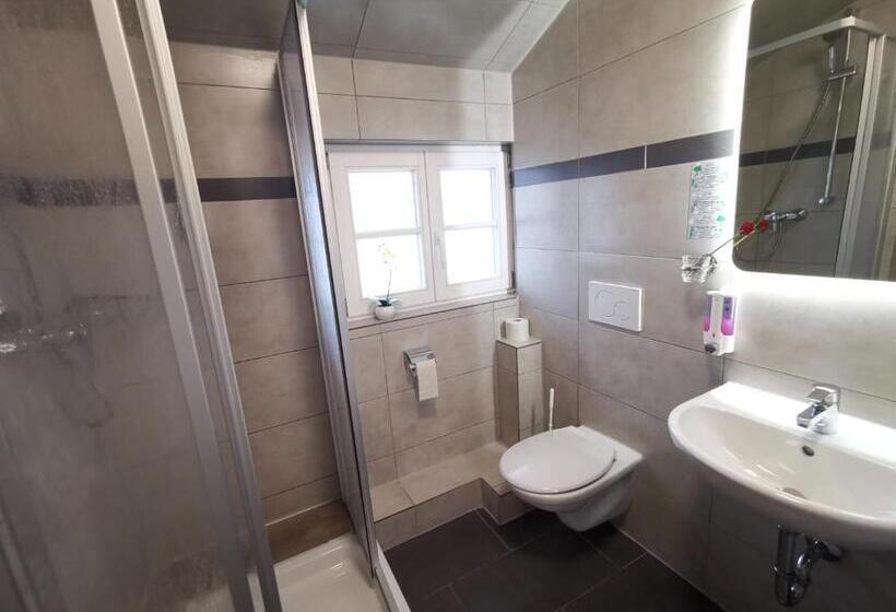 Четырехместный Номер Economy, Garni City