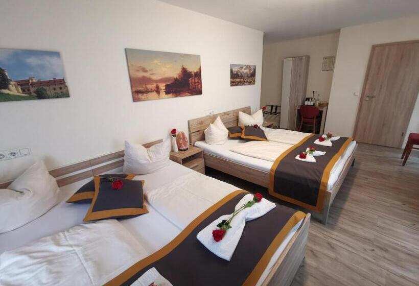Четырехместный Номер Economy, Garni City