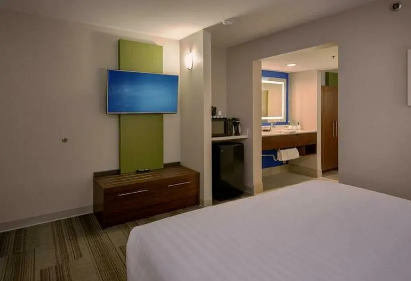اتاق اجرایی با تخت بزرگ, Holiday Inn Express Pigeon Forge – Sevierville, An Ihg