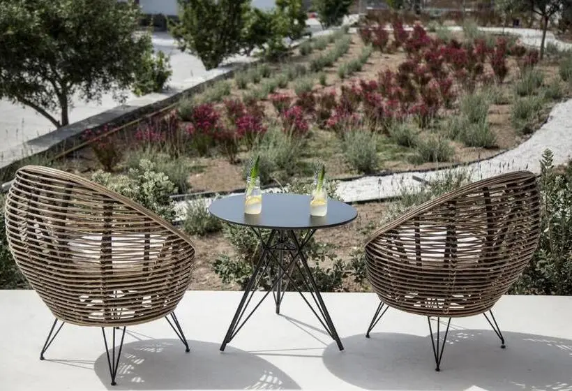 اتاق سوپریور, My Mykonos