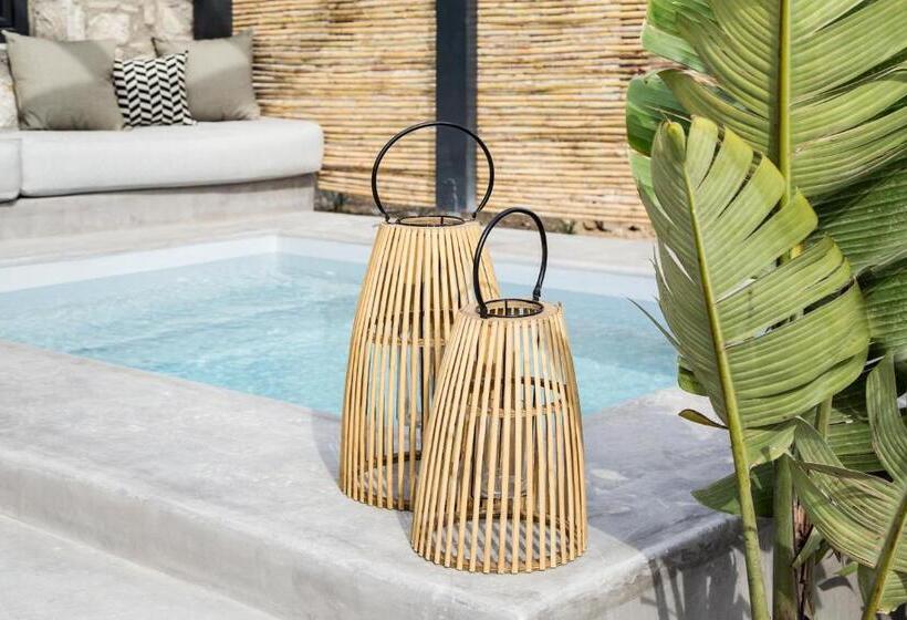 套房配有游泳池, My Mykonos