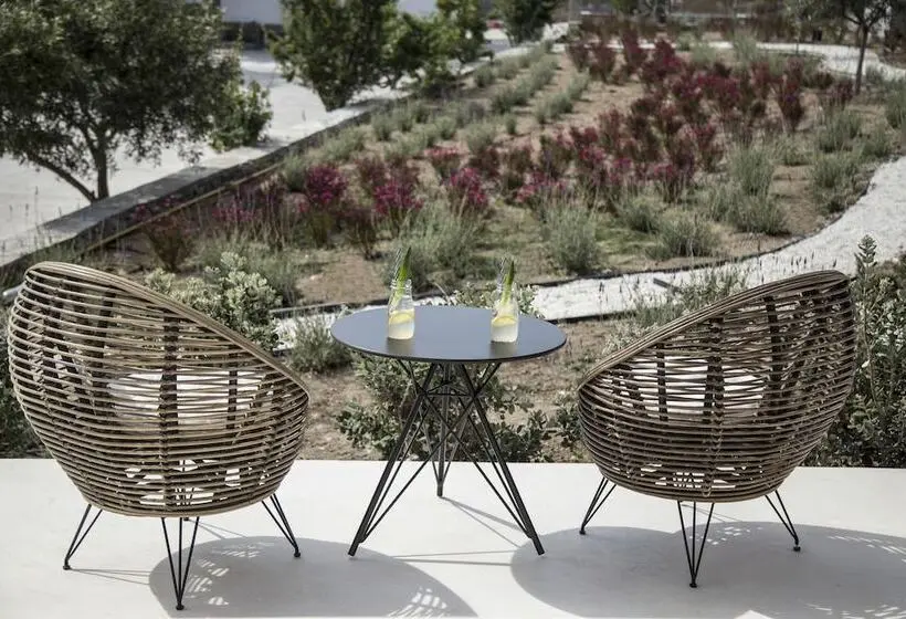 اتاق سوپریور, My Mykonos