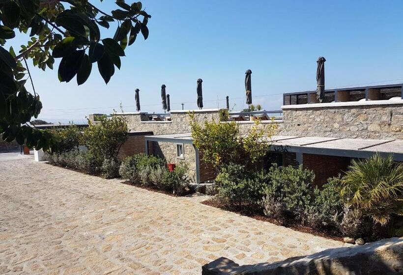 标准间, My Mykonos