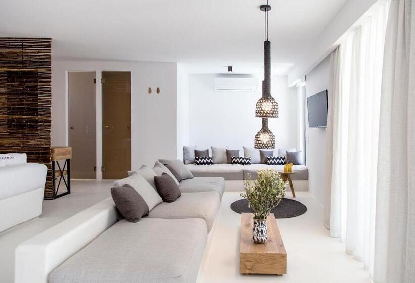 套房配有游泳池, My Mykonos