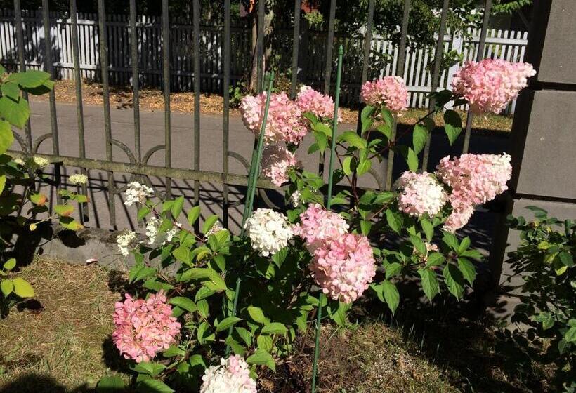 اتاق لوکس, Parus Boutique