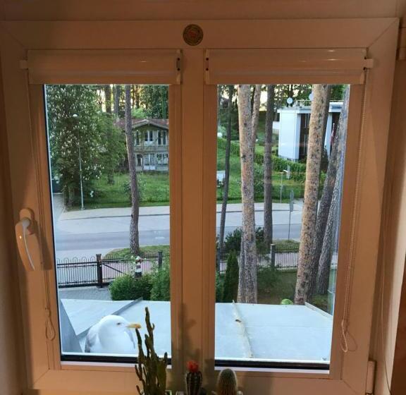 آپارتمان 1 خوابه, Parus Boutique