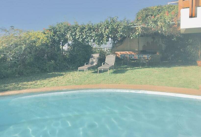 스탠다드 룸 공동 욕실, My Father S House Bed