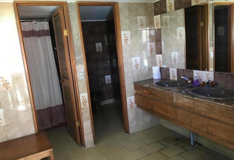 스탠다드 룸 공동 욕실, My Father S House Bed