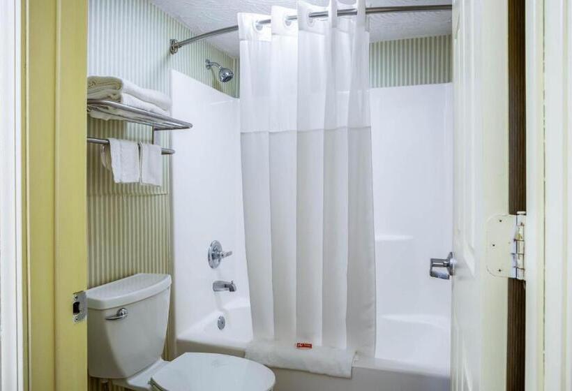 חדר סטנדרט עם מיטת קינג, Econo Lodge Huntington   Barboursville University Area