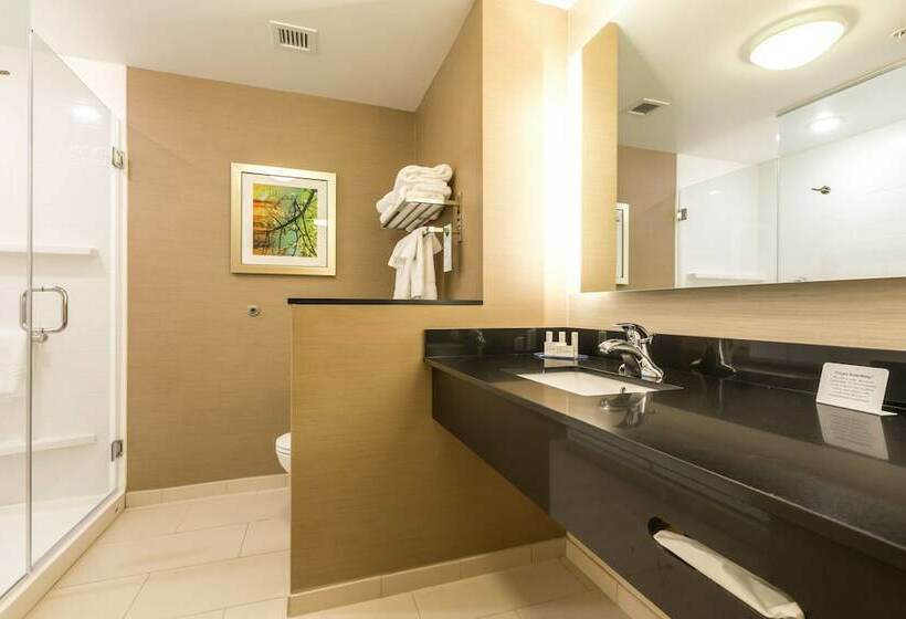 套房, Fairfield Inn & Suites By Marriott Asheville Tunnel Road