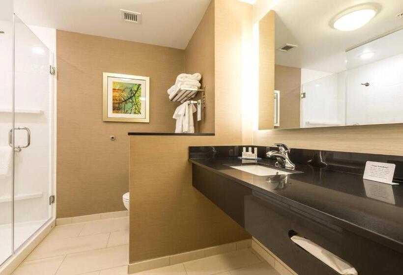 带大床的标准间, Fairfield Inn & Suites By Marriott Asheville Tunnel Road