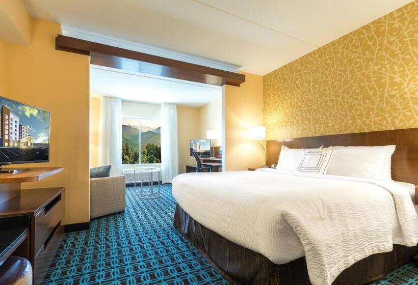 带大床的套房, Fairfield Inn & Suites By Marriott Asheville Tunnel Road