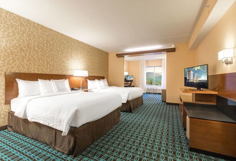 套房, Fairfield Inn & Suites By Marriott Asheville Tunnel Road