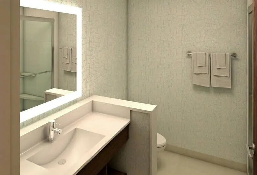 スイート, Holiday Inn Express And Suites South Hill, An Ihg