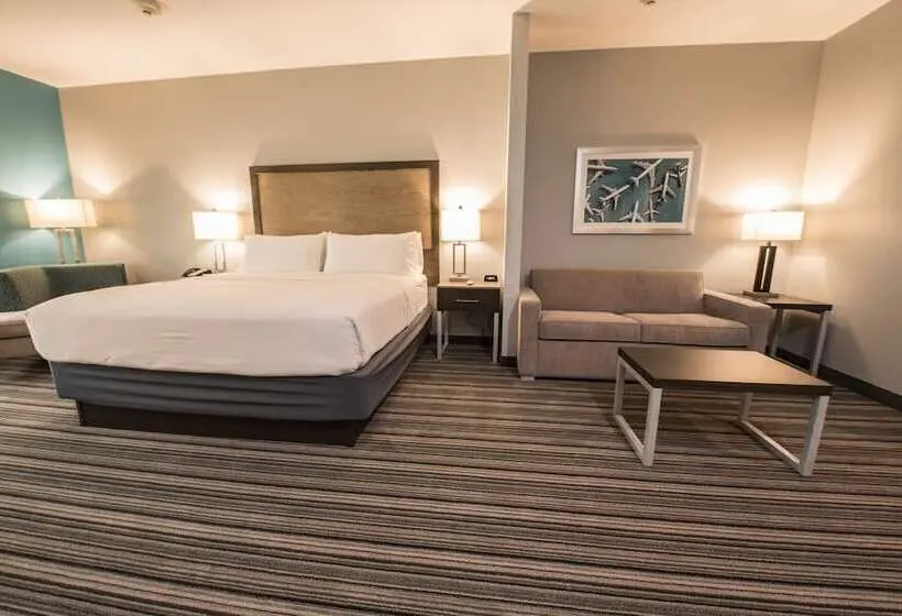 身障者適用スイートルーム, Holiday Inn Express & Suites Houston   Hobby Airport Area, An Ihg