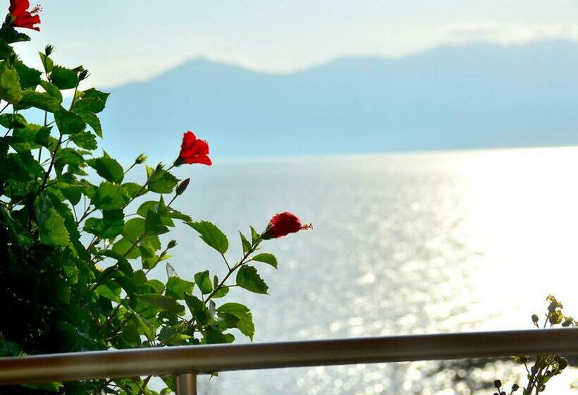 חדר סטנדרט, Ibusuki Iwasaki