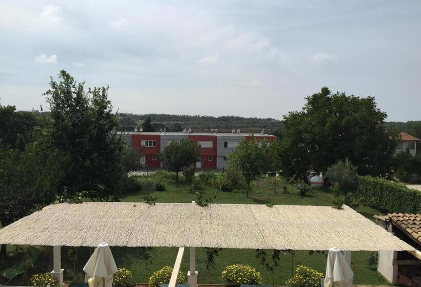 Четырехместный Номер Стандарт с Балконом, Vera Bed And Breakfast