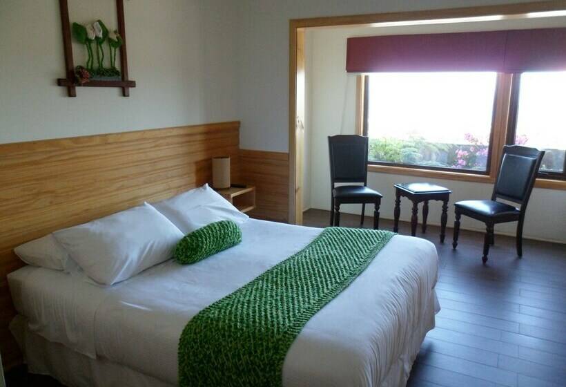 اتاق سوپریور, Dein Haus Hotel Y Departamentos