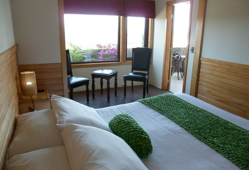 اتاق سوپریور, Dein Haus Hotel Y Departamentos