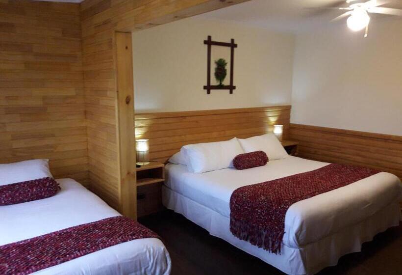 اتاق استاندارد, Dein Haus Hotel Y Departamentos