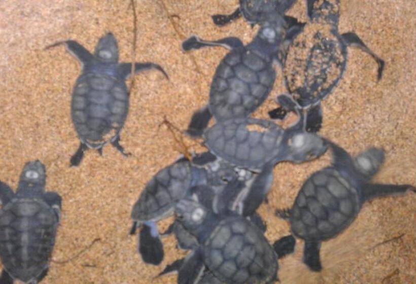 بانگلوی استاندارد 2 خوابه, Praia Inhame Ecolodge